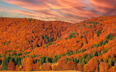 Fototapeta premium the wonderful autumn colors in a splendid sunset