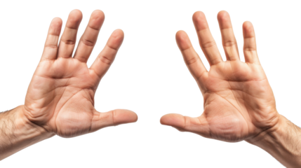 Male hand showing five fingers, palm on white transparent background
