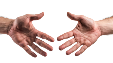 Male hand showing five fingers, palm on white transparent background
