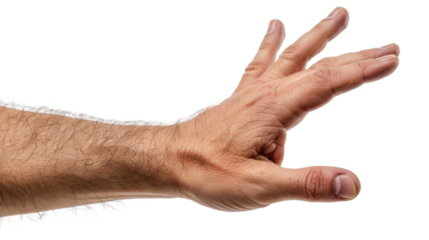 Male hand showing five fingers, palm on white transparent background
