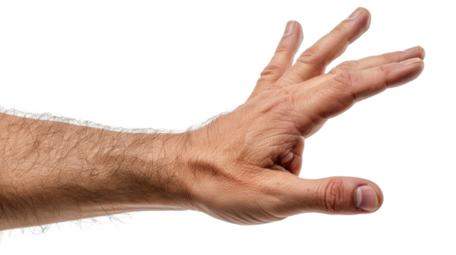 Male hand showing five fingers, palm on white transparent background
