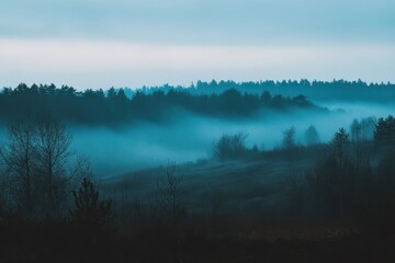 Fototapeta premium A misty morning over a forest.