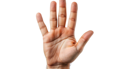 Male hand showing five fingers, palm on white transparent background

