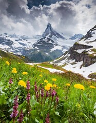 Fototapeta premium The Jagged Peaks and Serene Valleys of the Swiss Alps, Switzerland, Blanketed by Snow in Winter and Wildflowers in Summer, Offering a Stunning Mountain Landscape All Year Round