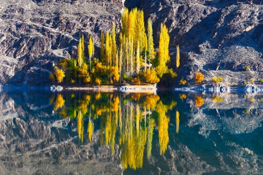 Khalti Lake - detailed view of the trees in autumn colors and their reflection in water of the lake (Gupis-Yasin District, Gilgit-Baltistan, Pakistan)
