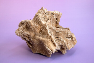 Ancient old petrified wood, excavation, minerals, as nice background Narrow focus line, shallow depth of field macro