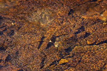flowing water of the stream in the autumn valley