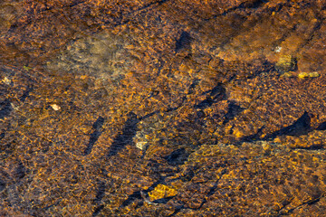 flowing water of the stream in the autumn valley