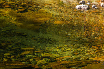 flowing water of the stream in the autumn valley