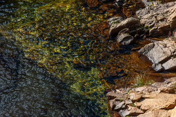 flowing water of the stream in the autumn valley