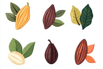 Cocoa pods with leaves, white isolate background.