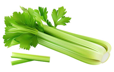 Fresh celery stalks with vibrant green leaves on a white isolated background.