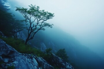 Fototapeta premium A solitary tree stands on a rocky mountainside shrouded in mist.
