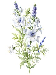 Obraz premium Larkspur Watercolor Flower Nature Art
