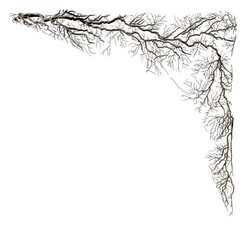 3D render branch of an ivy on the right corner