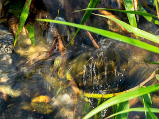 小川を流れる水