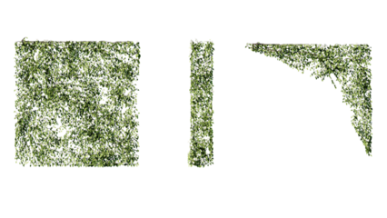 Ivy vines on wall isolated on transparent background. Modern illustration plant with green leaves, home interior, garden landscaping or floral design element.