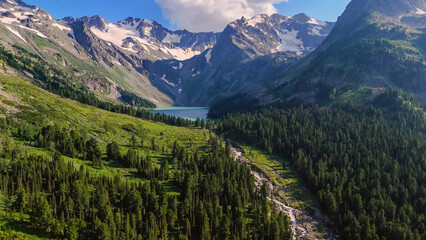 Obraz premium the mountain river Multa in summer in the Altai mountains