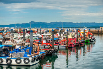 El Grove​​​ or Ogrobe​ ​ is a municipality and a peninsula located in the western part of the Salnés region, at the entrance to the Arosa estuary, in the northwest of Spain. Pontevedra, Galicia