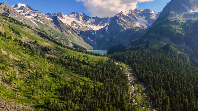 the mountain river Multa in summer in the Altai mountains