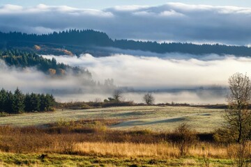 Fototapeta premium Foggy morning over a field with rolling hills in the background.