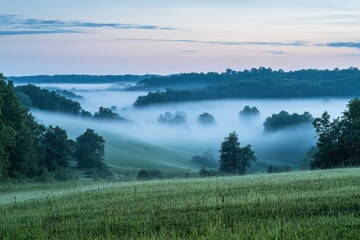 Fototapeta premium Misty morning landscape with rolling hills and green meadows.