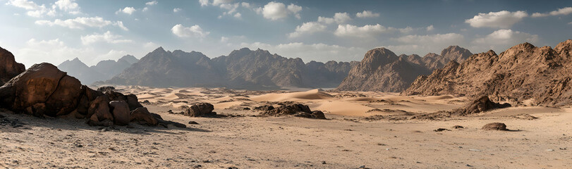 Desert sand dunes of the Sinai region  -