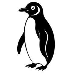 penguin illustration