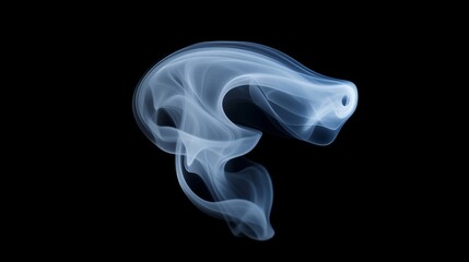 Fototapeta premium A delicate white smoke curl rising softly, creating a gentle atmosphere on a black background