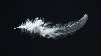 A detailed white cloud shaped like a feather, floating peacefully in front of a solid black background