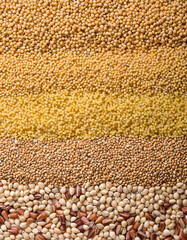Obraz premium Textures Illustration of grains, Background of grains