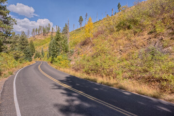 Slope of Lynn Hill off of Cape Royal Road at North Rim AZ