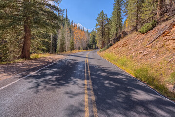 Cape Royal Road at North Rim AZ