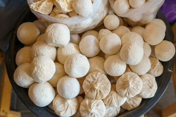 A bowl full of small, white pastries sits on a table