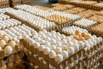 A stack of cartons of eggs with a few brown eggs in the middle