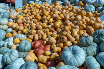 A pile of pumpkins and apples