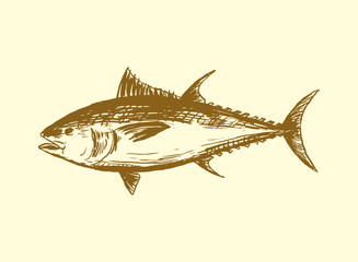 set of seafood Tuna Fish handdrawn illustration