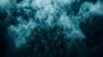 Photo Dark Forest Foggy Trees Nature Landscape Aerial View
