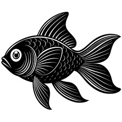 black and white goldfish