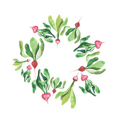 watercolor radish hand drawn wreath