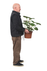 side view of a standing man holding a plant on white background