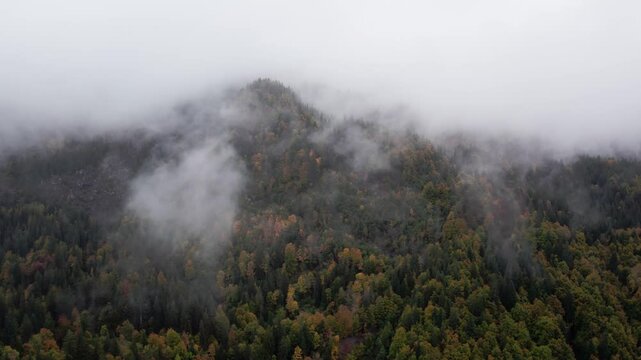 The image shows an aerial view of a forest covered in fog. The photo was taken on a cloudy day, and the fog spreads over the trees, creating a mysterious and somewhat eerie atmosphere.