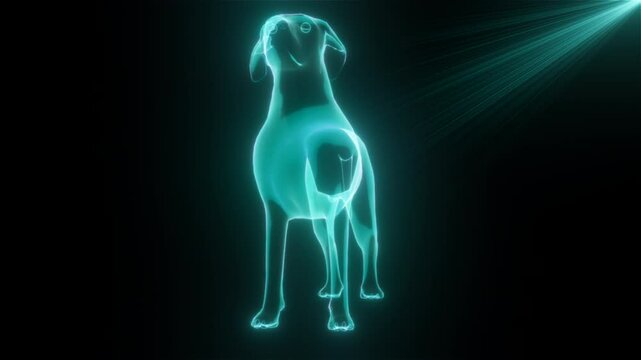 Hologram dog. Computer generated 3d render