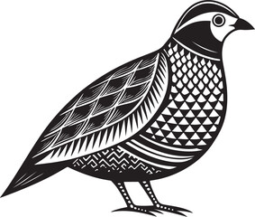 barbary partridge vector illustration