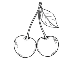 Cherrys Fruit colored by sample Coloring Page