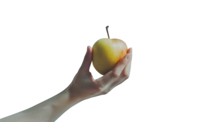 Hand holding apple on white transparent background
