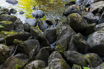 Karelian landscape photography with dark stones at the river coast