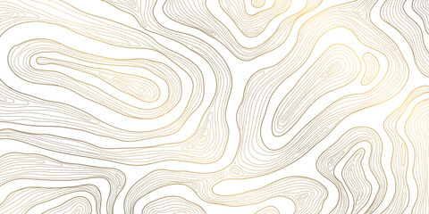 Vector line vector wavy pattern, topography graphic contour gold background. Ribbons, stripes terrain texture. Curve shapes, organic illustration, wood © marylia17