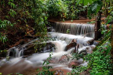 Obraz premium Natural background of various trees growing in the foothills of the mountain and natural waterfall flowing from high places amidst clear sky. The beauty of panoramic ecosystem.