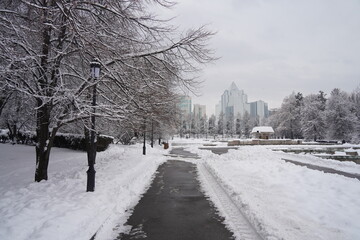 Branches under a large layer of snow in the city square.